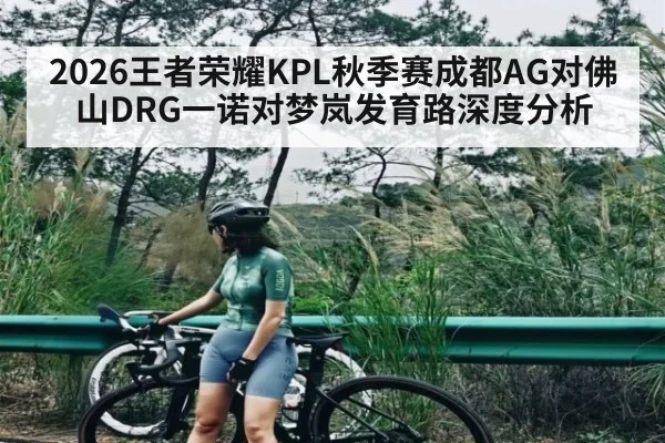 2026王者荣耀KPL秋季赛成都AG对佛山DRG一诺对梦岚发育路深度分析